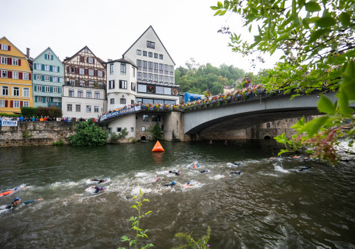 Schwimmen im Neckar vor Traumkulisse